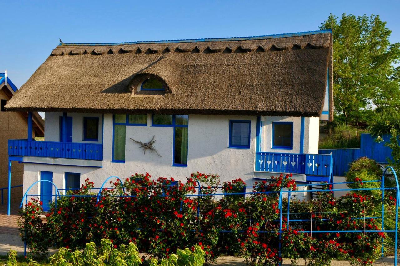Nena Art Resort Dunavăţu de Jos Exterior foto