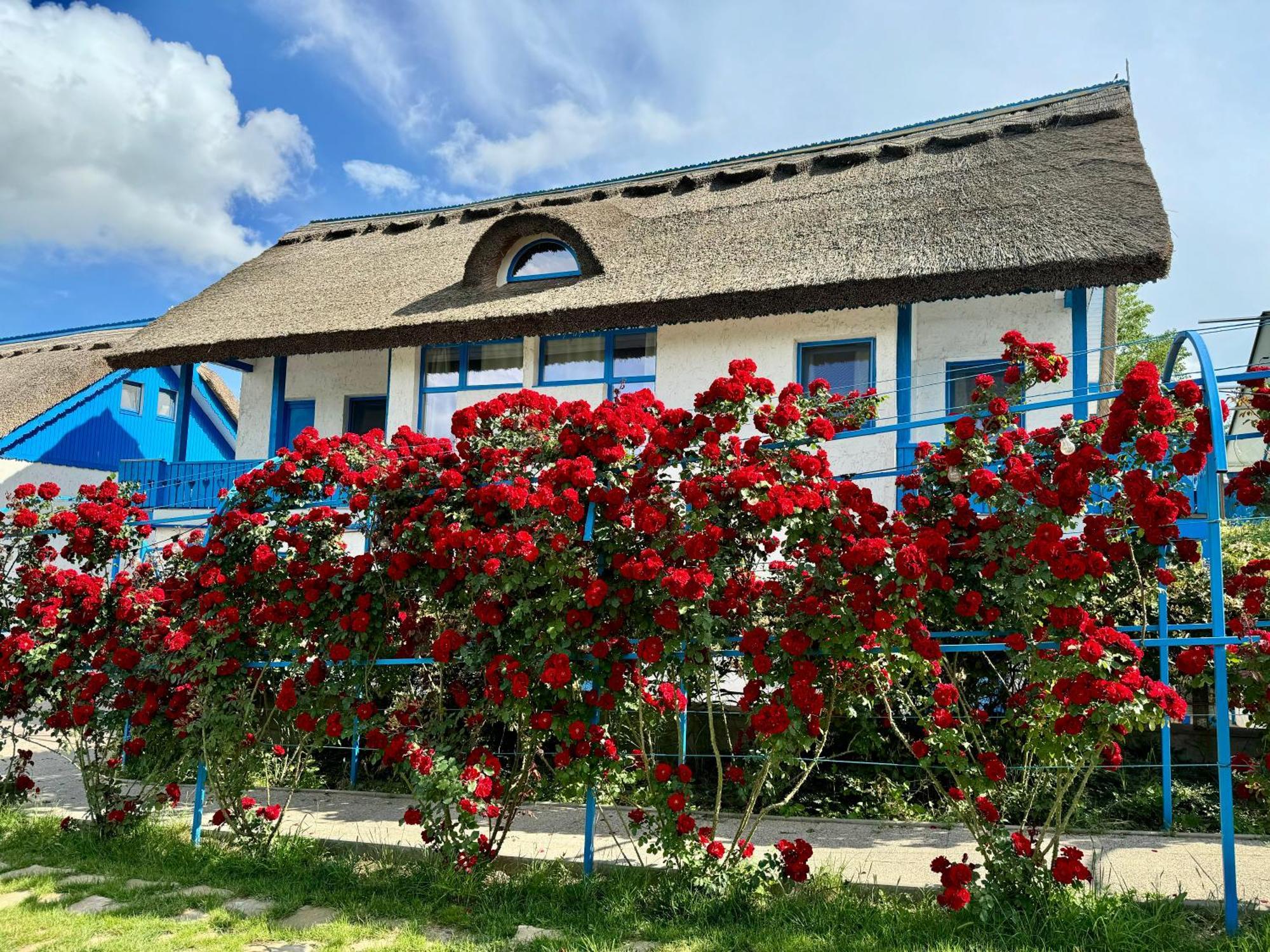 Nena Art Resort Dunavăţu de Jos Exterior foto