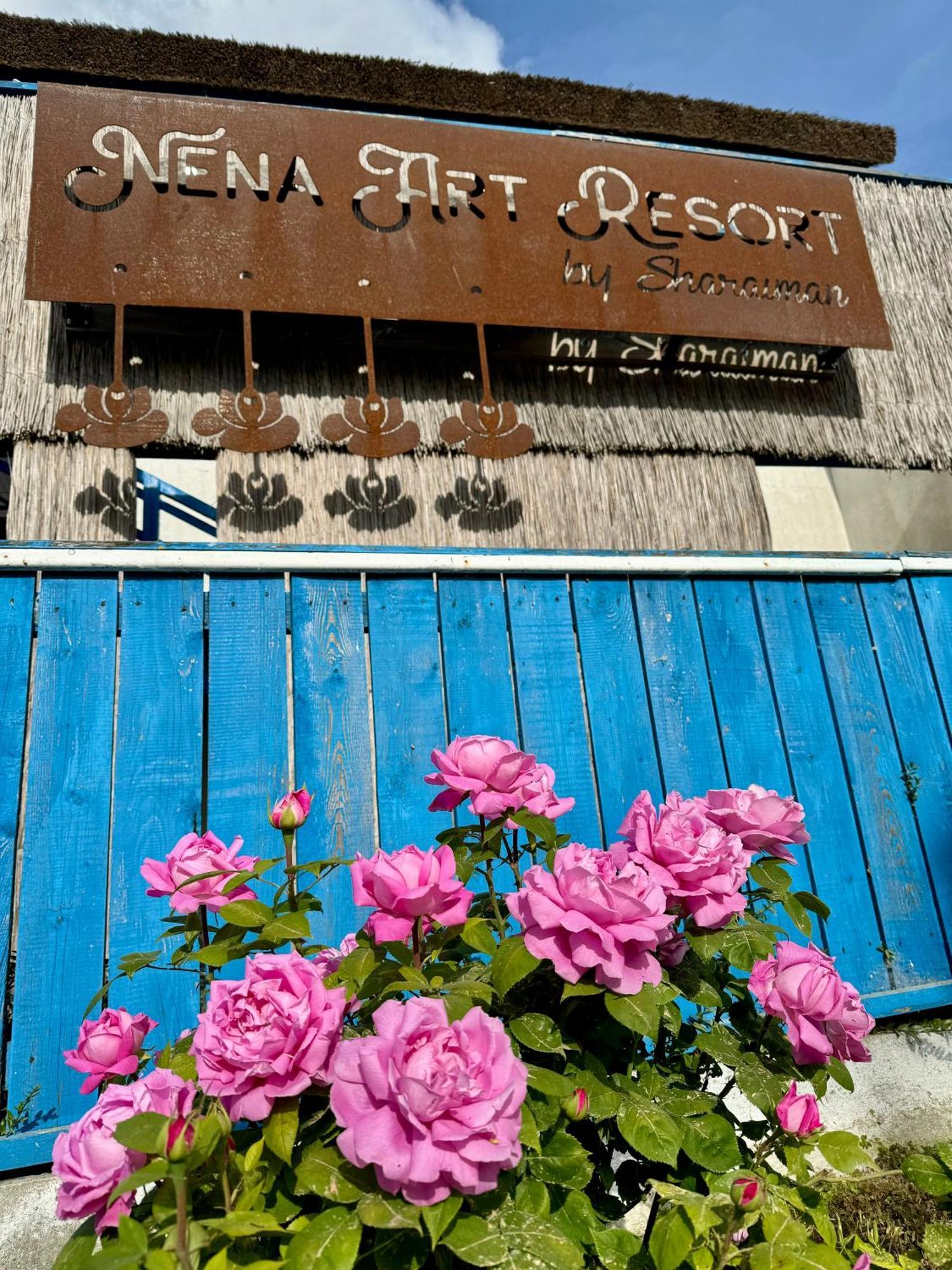 Nena Art Resort Dunavăţu de Jos Exterior foto