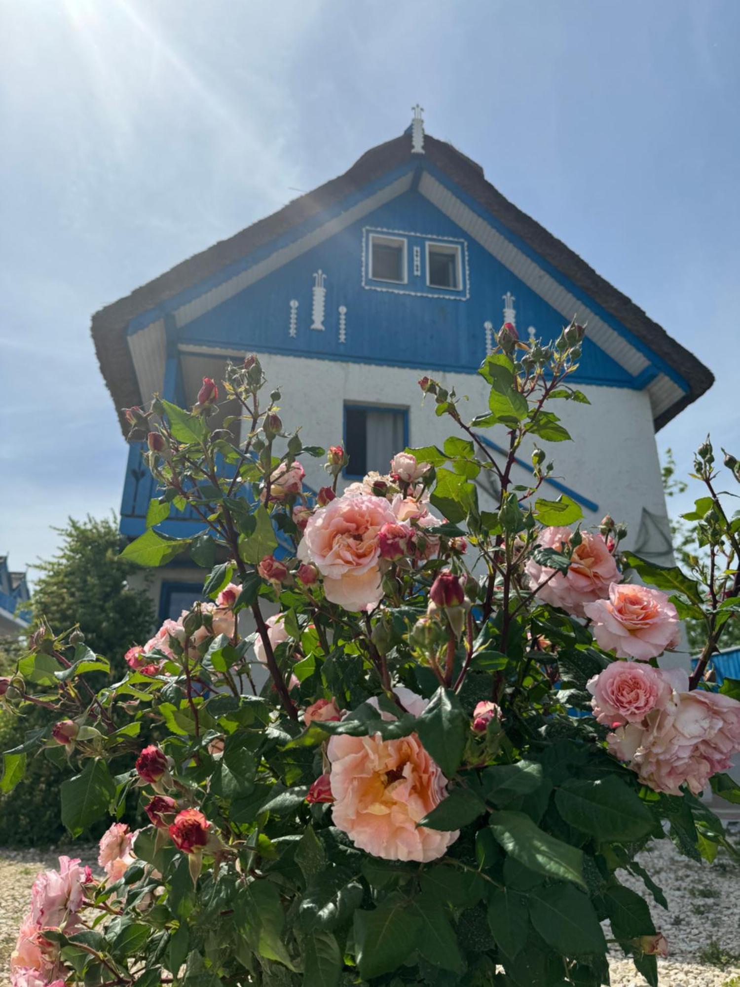 Nena Art Resort Dunavăţu de Jos Exterior foto