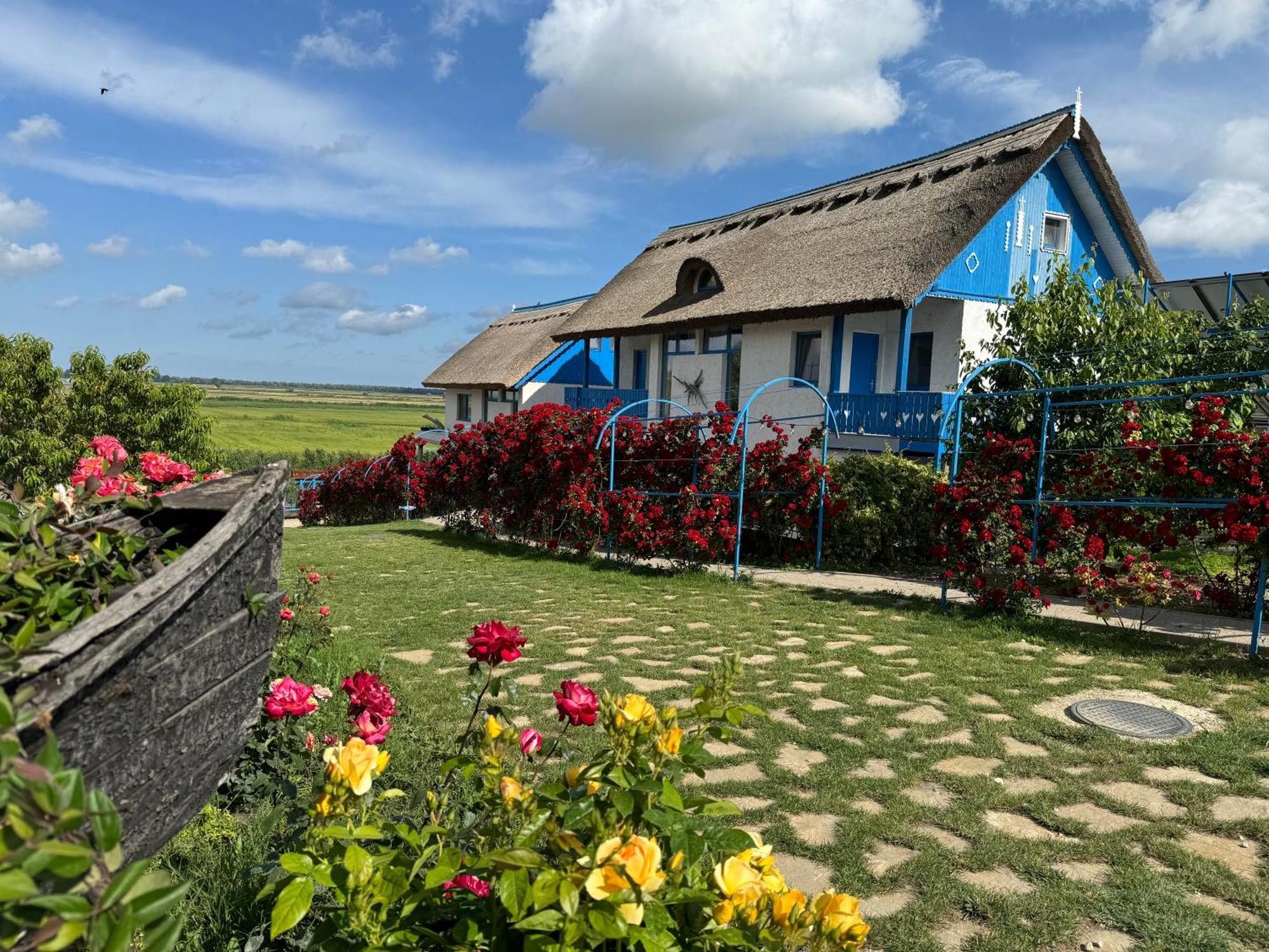 Nena Art Resort Dunavăţu de Jos Exterior foto