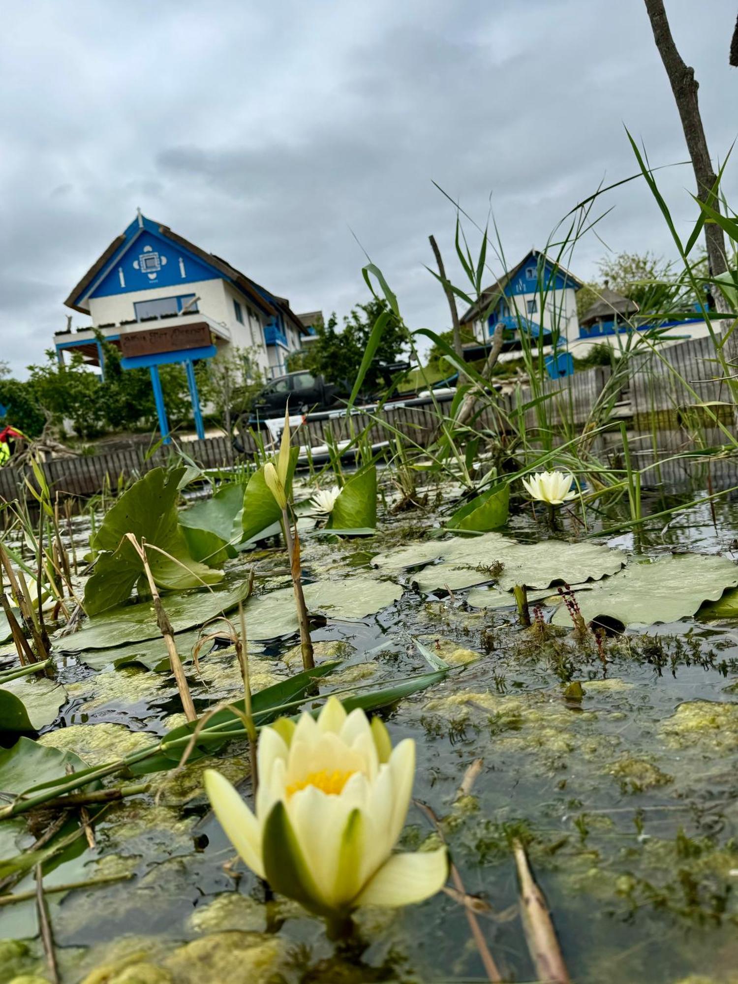 Nena Art Resort Dunavăţu de Jos Exterior foto